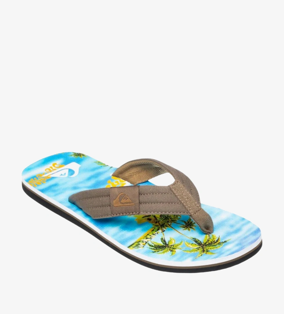 Quiksilver Mavi Quiksilver Molokai Layback
