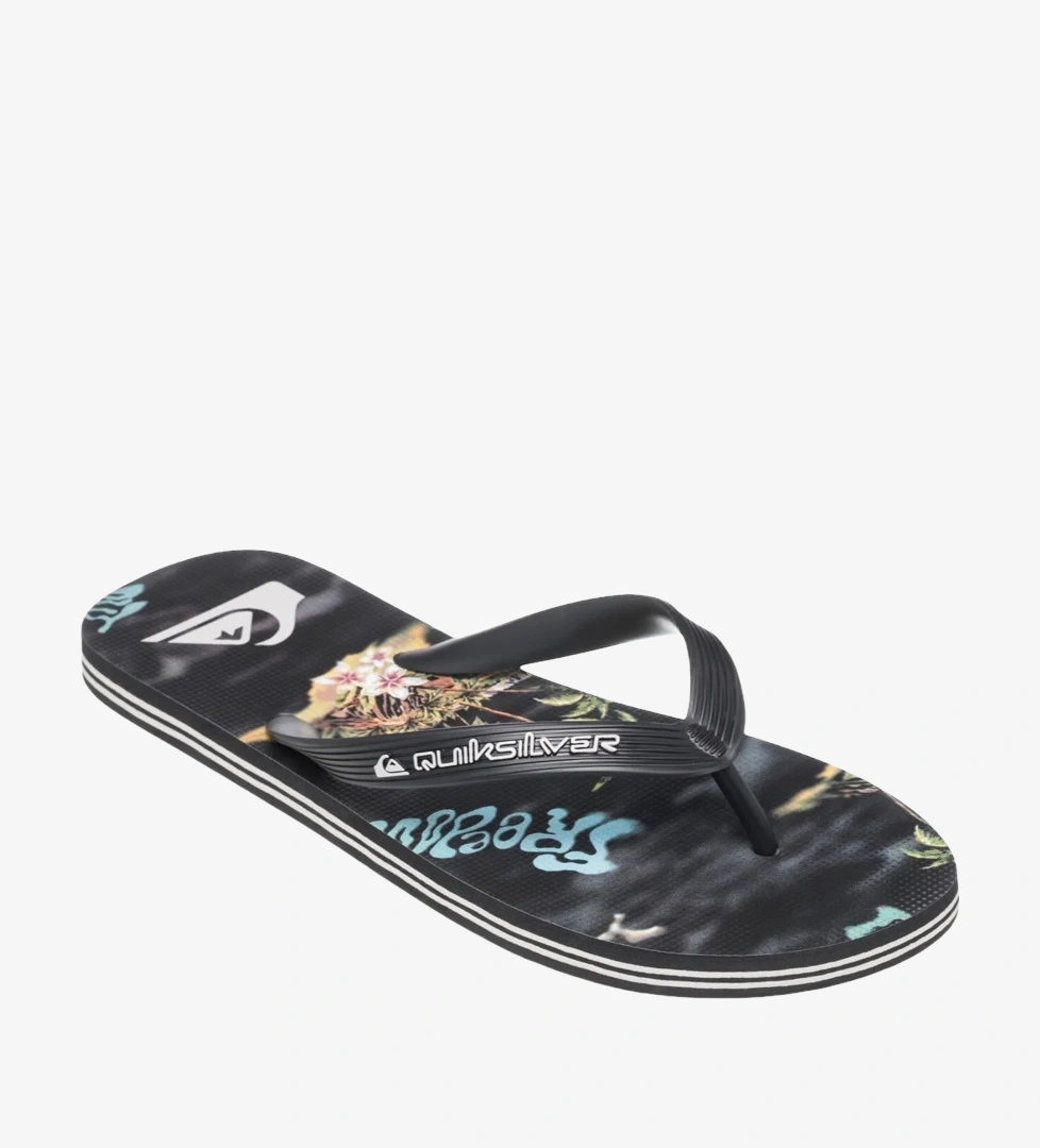 Quiksilver Siyah Quiksilver Molokai Art