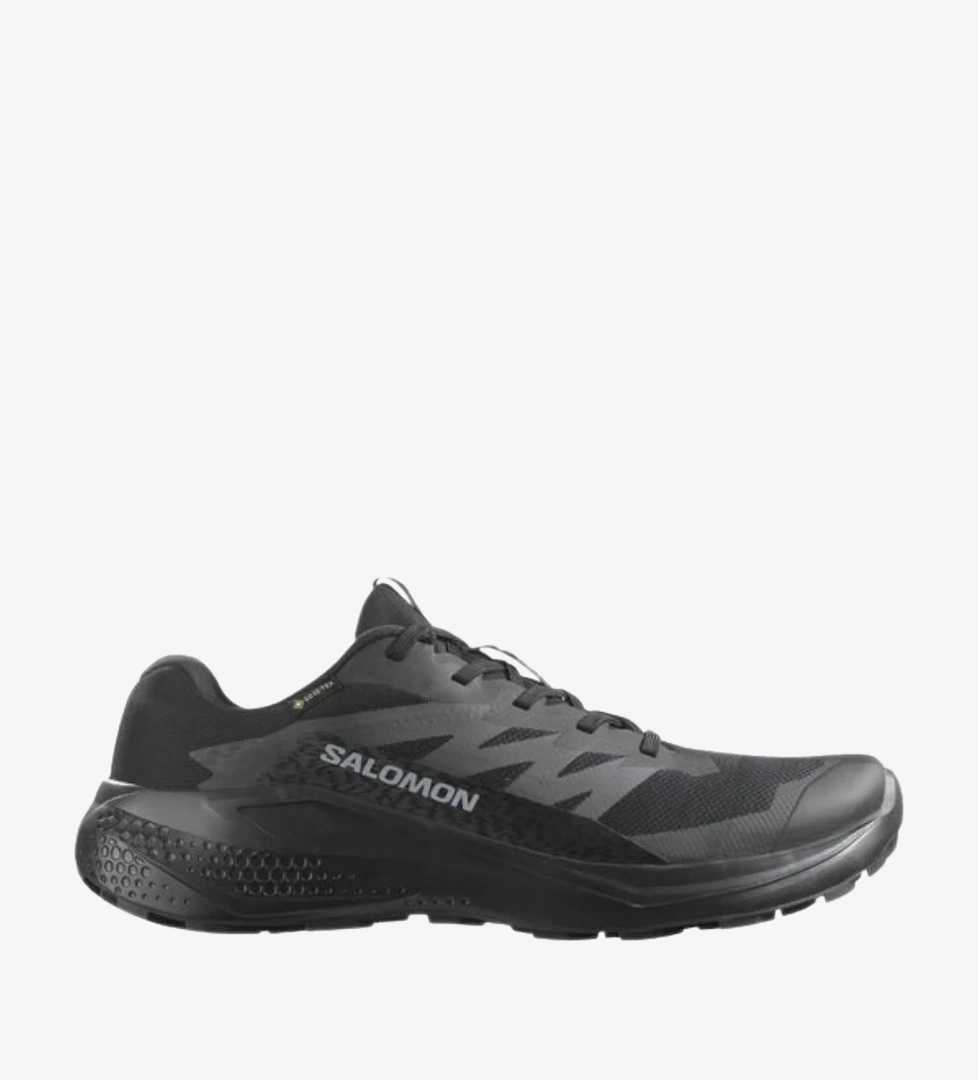 Salomon Siyah Salomon Alphaglide Gore