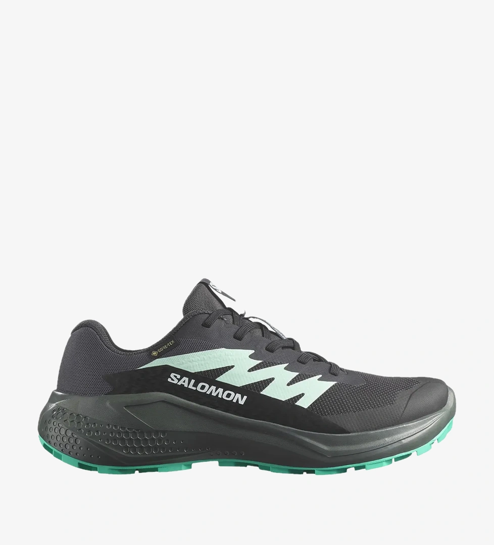 Salomon Alphaglide GORE-TEX Kadın Siyah Patika Koşusu Ayakkabısı