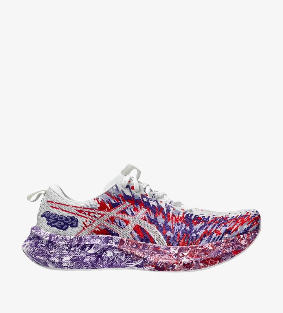 Asics Renkli Asics Noosa Tri