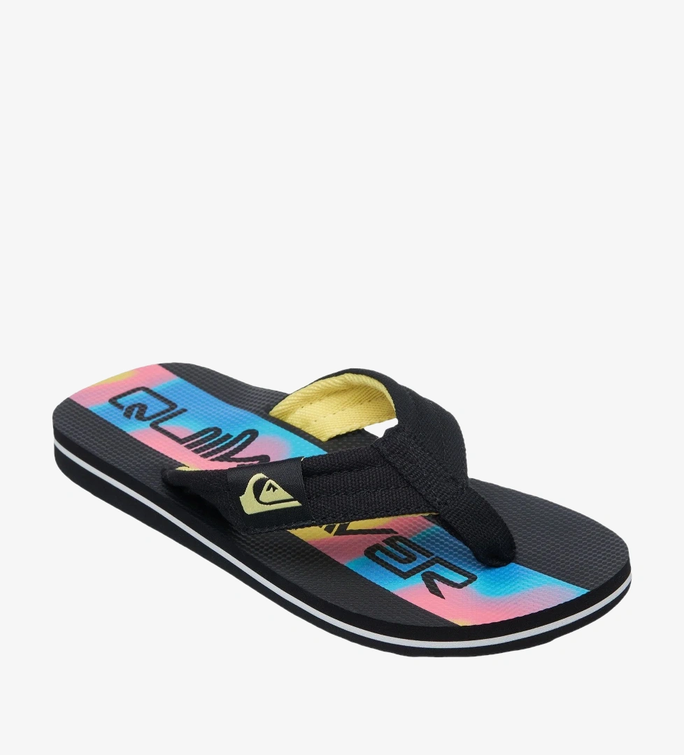 Quiksilver Renkli Quiksilver Terlik