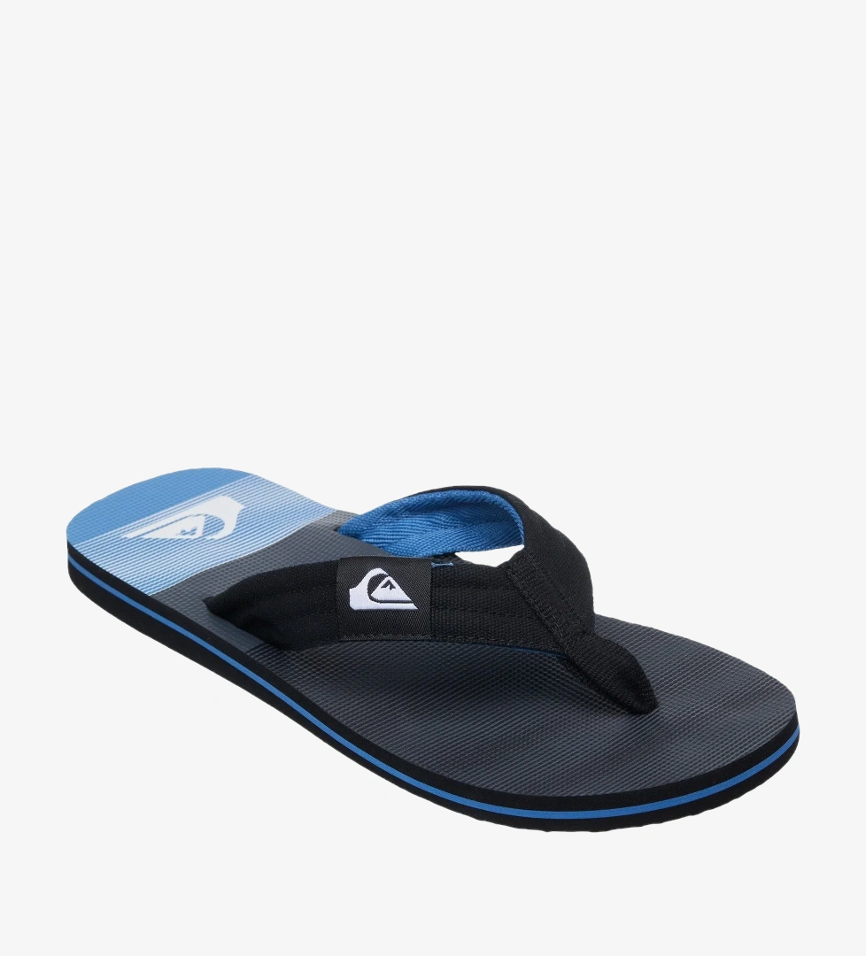 Quiksilver Renkli Quiksilver Molokai