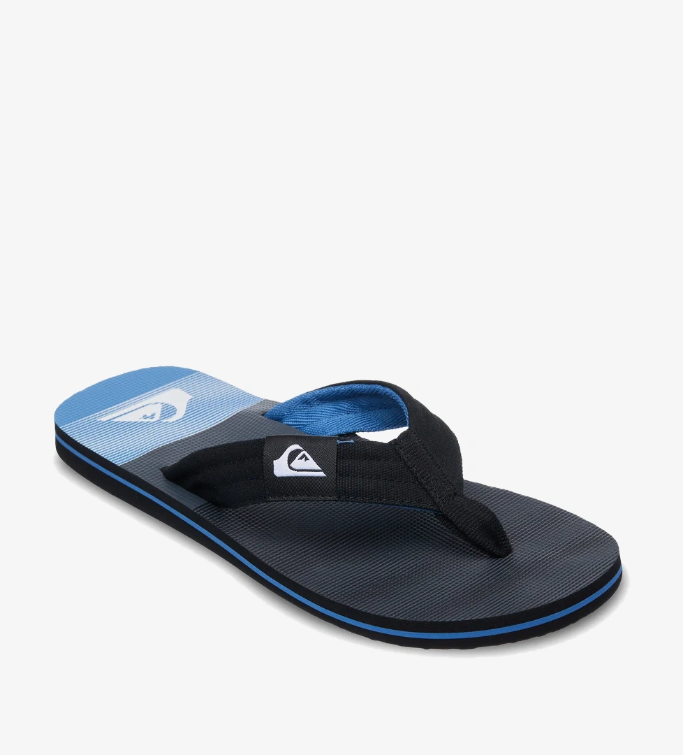 Quiksilver Renkli Quiksilver Molokai