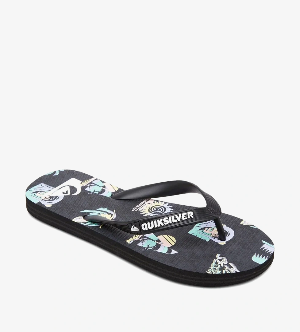 Quiksilver Gri Quiksilver Molokai Art