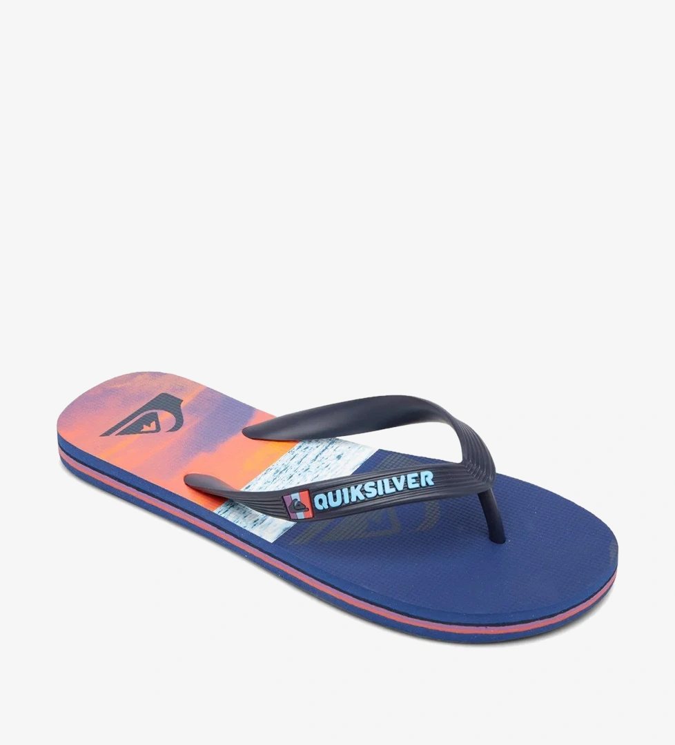 Quiksilver Mavi Quiksilver Molokai Panel