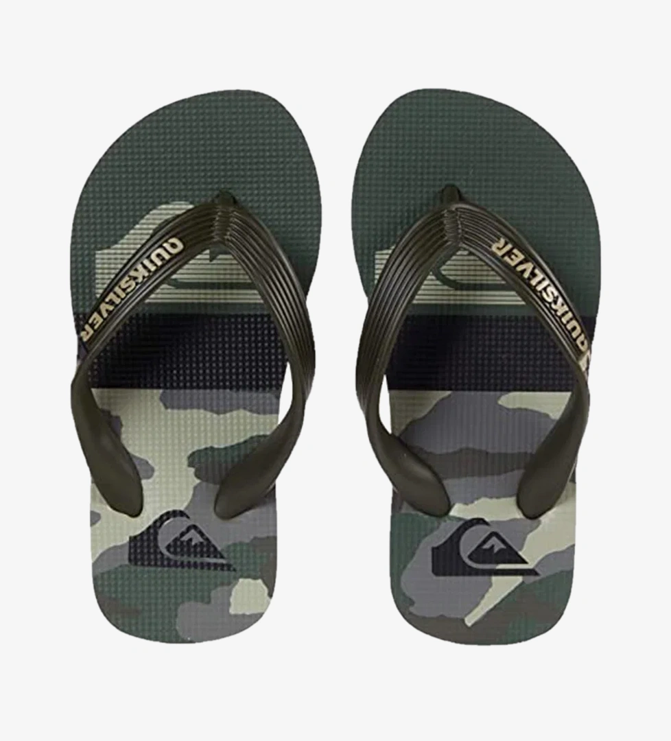 Quiksilver Yeşil Quiksilver Molokai Panel