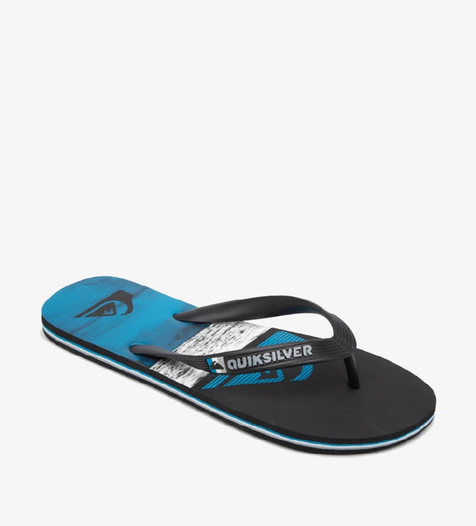 Quiksilver Quiksilver Molokai Panel