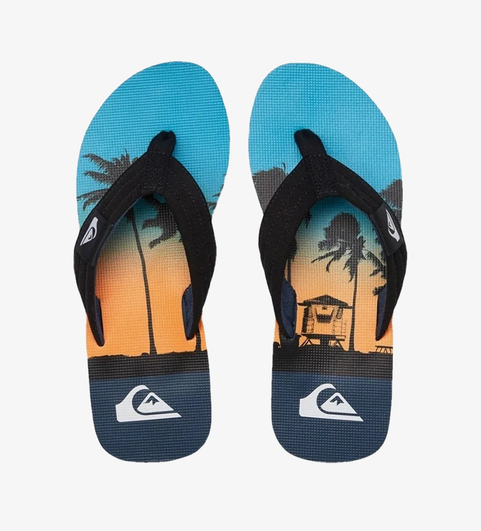 Quiksilver Mavi Quiksilver Molokai Layback