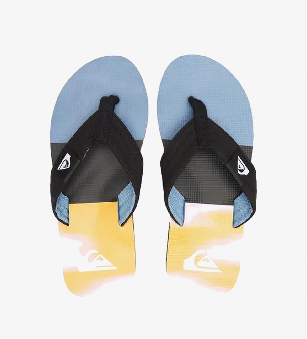Quiksilver Molokai Layback Ii Ürün Listesi