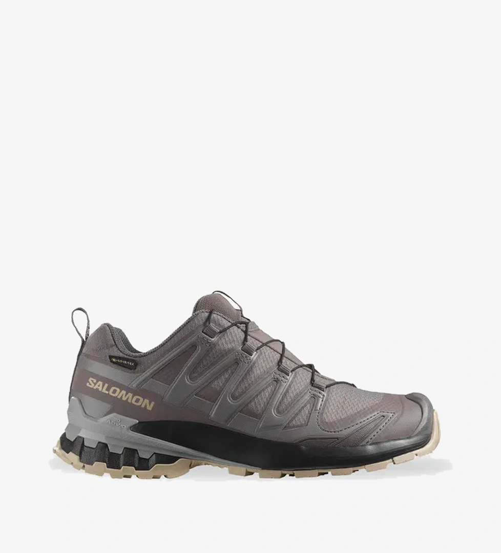 Salomon XA PRO 3D V9 GORE-TEX Kadın Gri Outdoor Ayakkabı - Görsel 1