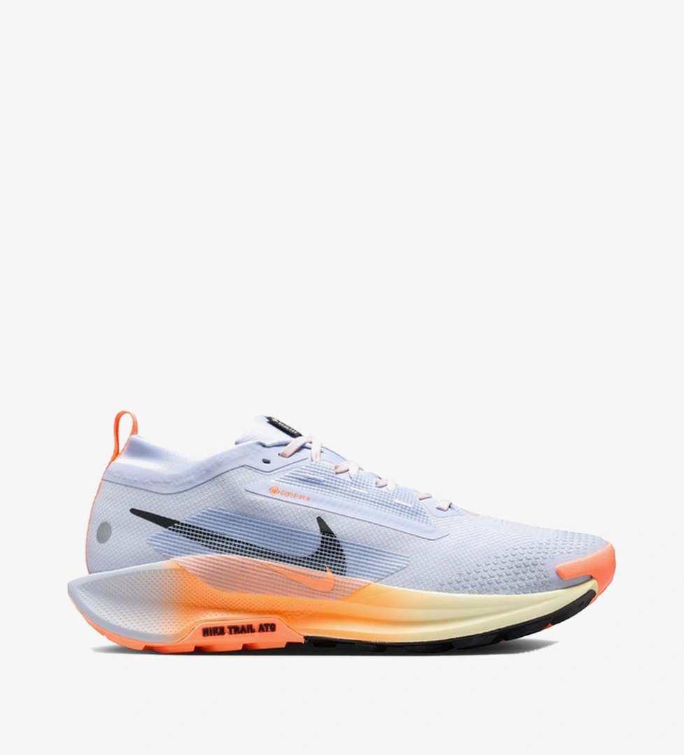 Nike Pegasus Trail 5 Gore-Tex Erkek Mavi Koşu Ayakkabısı