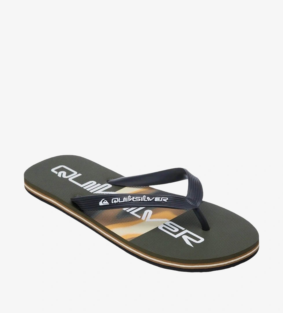 Quiksilver Yeşil Quiksilver Molokai Stripe
