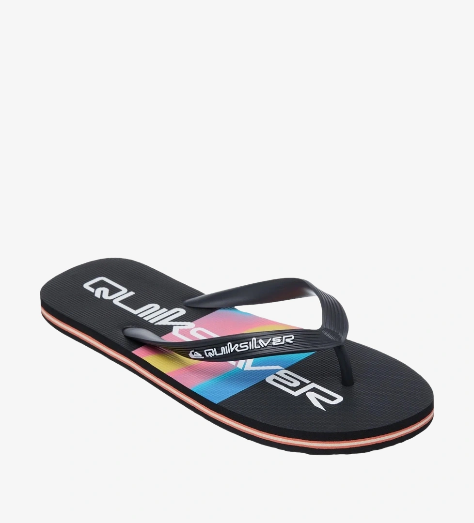 Quiksilver Siyah Quiksilver Molokai Stripe
