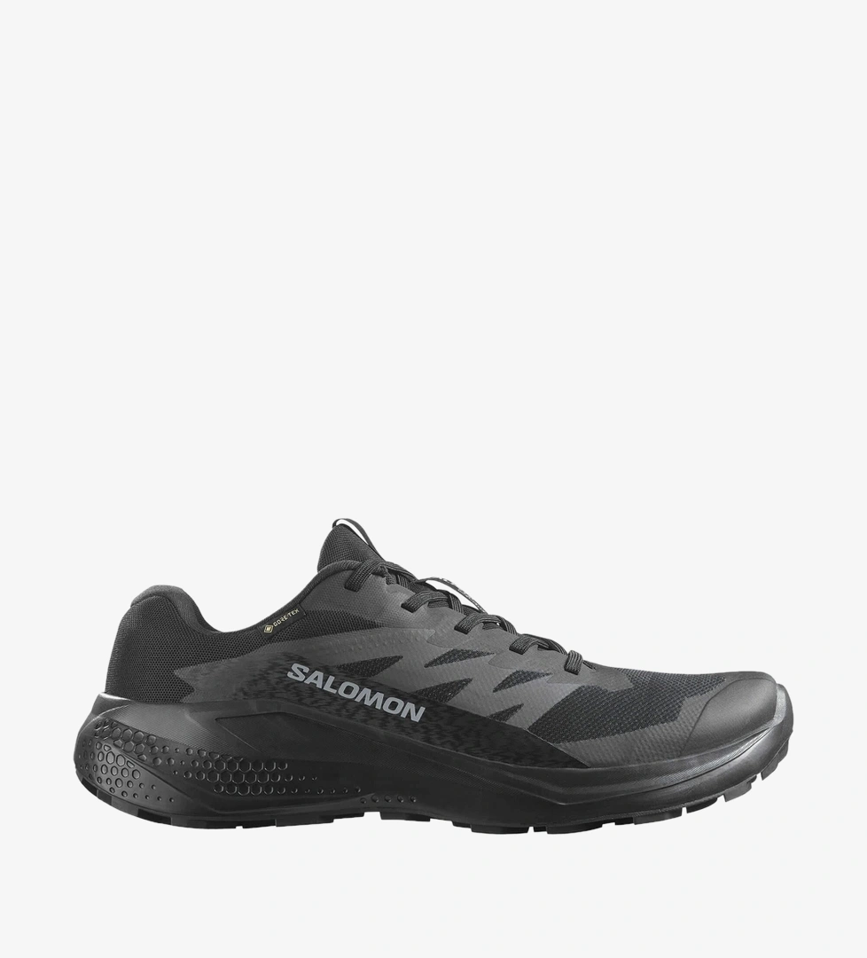 Salomon Alphaglide GTX Erkek Patika Koşu Ayakkabısı