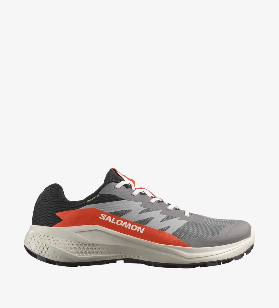 Salomon Alphaglide GTX Erkek Patika Koşu Ayakkabısı