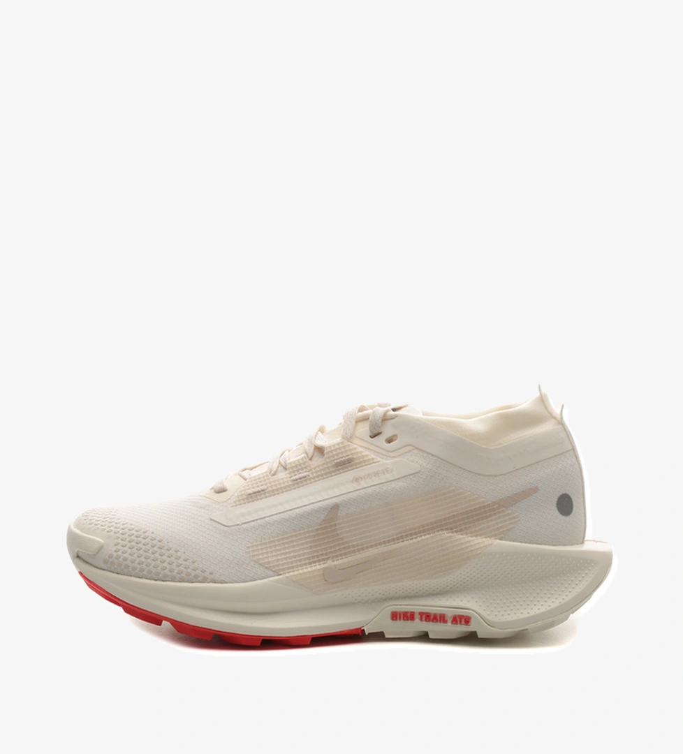 Nike Nike Pegasus Trail 5 Gore-Tex Kadın Spor Ayakkabı Krem model görseli