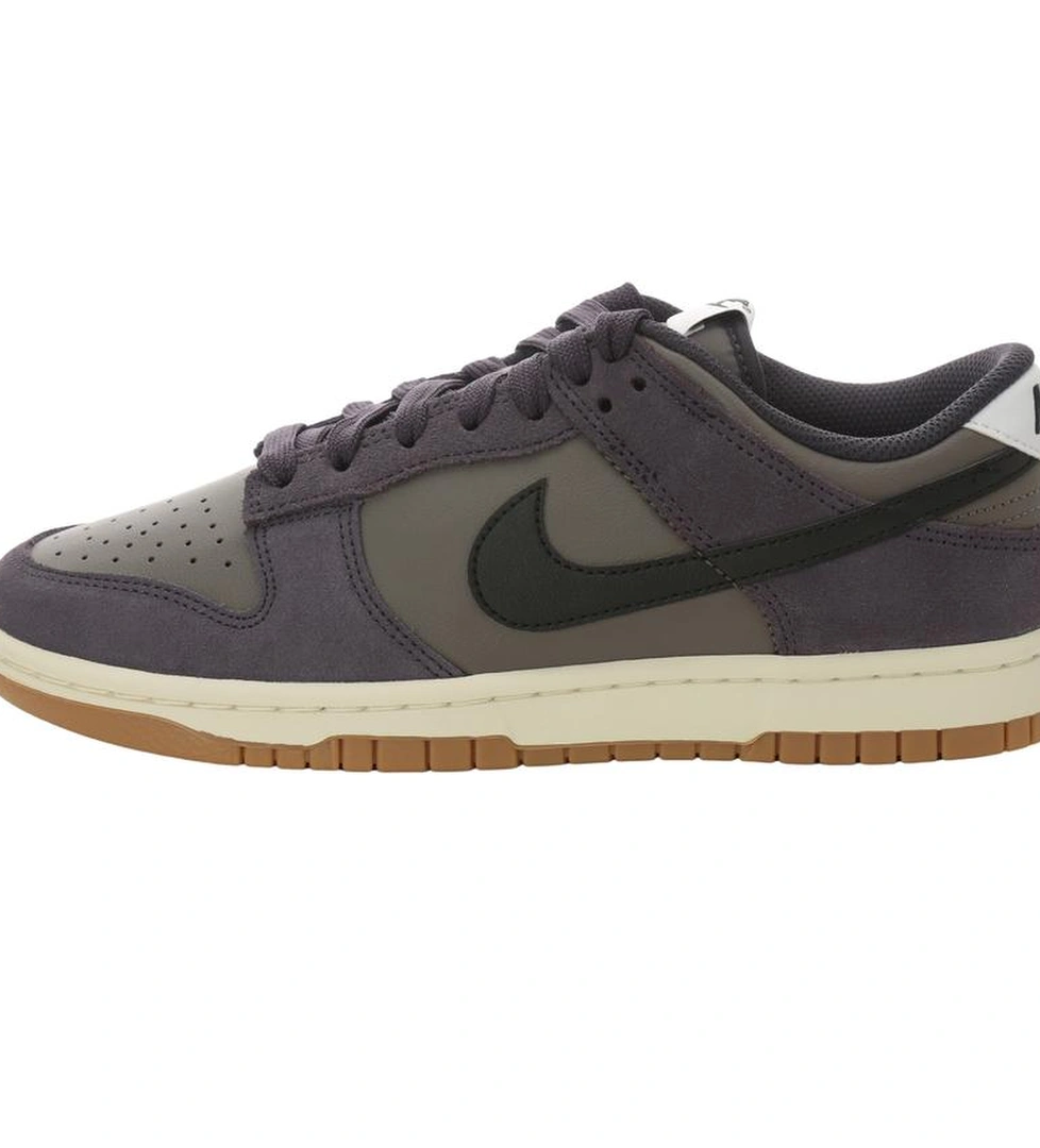 Nike Nike Dunk Low Retro Se Erkek Günlük Spor Mor Ayakkabı model görseli